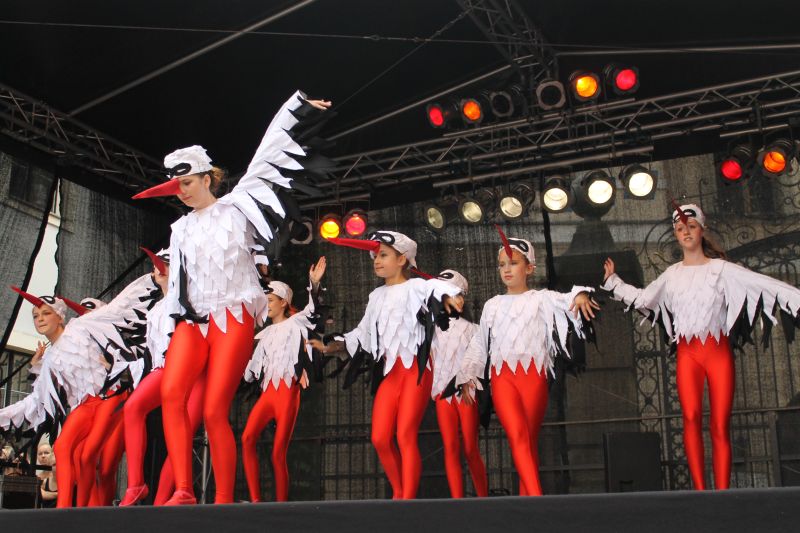 Greiz gemeinsam Bunt - Festtag